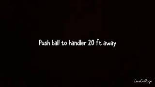 Performer Tricks Title -Shorter Version