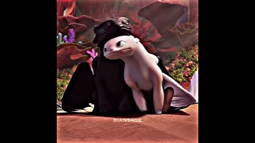 Thumbnail of Night fury & Light fury edit_3
