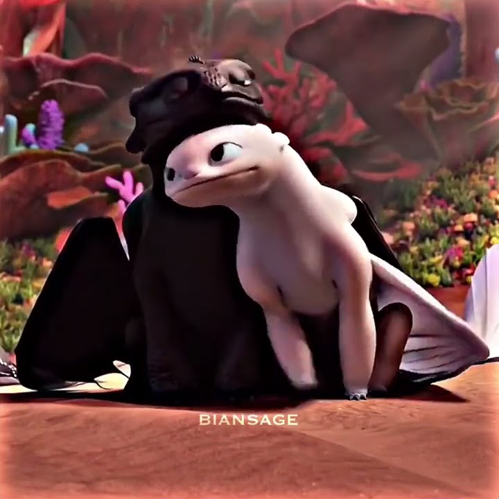 Night fury & Light fury edit_3