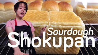 Sourdough Shokupan | The Science and Recipe @NovitaListyani