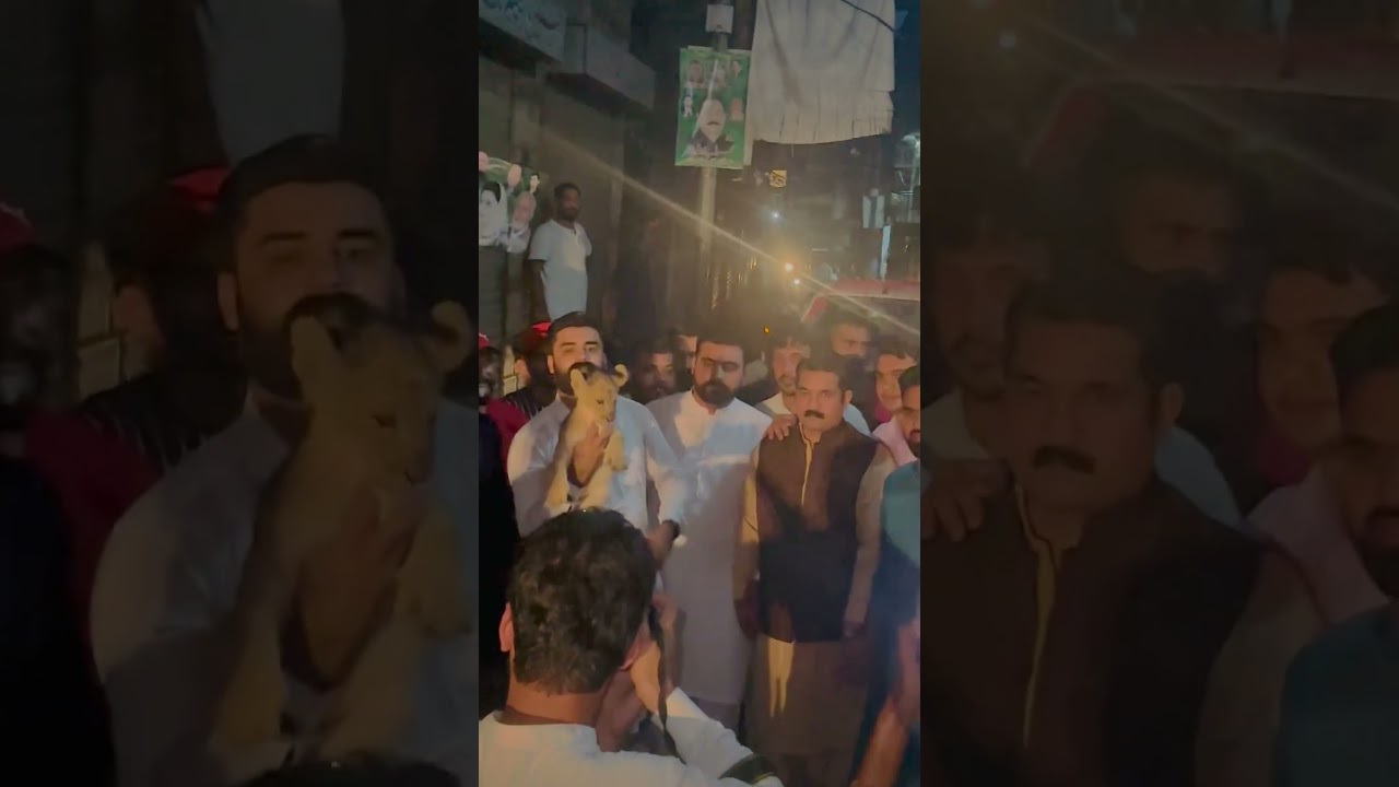 PMLN Jaisla Entry African Lion