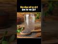चिया सीड्स की खासियत #shorts #shortvideo #health #facts #healthy #knowledge #factslides #viral #new