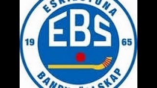 BANDY: EBS - SPÅNGA/DJURGÅRDEN (Div 1 Östra 2016-2017)