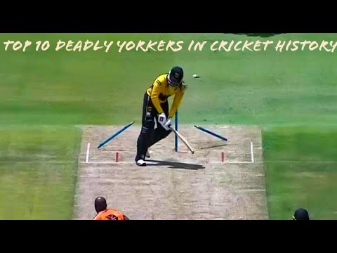 Top 10 best yorkers in cricket history | destructive yorkers | deadly ...