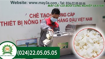 Máy cắt cùi bưởi hạt lựu|Máy thái cùi bưởi công nghiệp nấu chè 3A370W