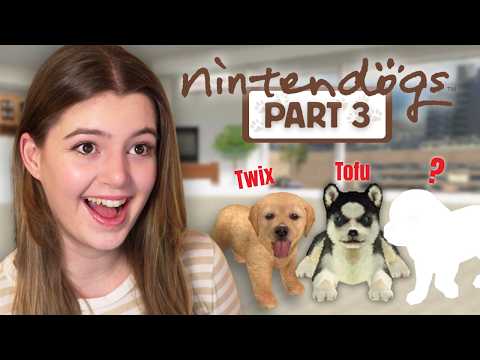 The 3rd Dog and the CHAMPIONSHIP! - Nintendogs Part 3 - Retro Format
