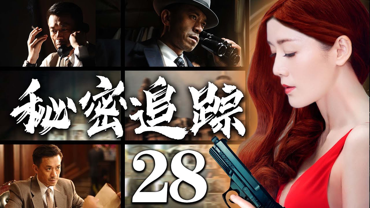 【精彩谍战剧】秘密追踪28丨主演：王学兵，刘佩琦，车永莉