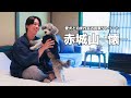 🐶最近できた愛犬宿「赤城山-懐-」が過去最高に癒されるお宿でした、、、！