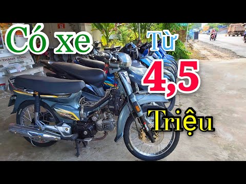 Video Dream Kiểng Xám Xi Măng cho anh em - Xe cũ giá từ 4... - youtube