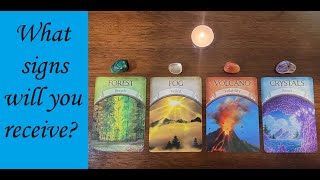 Famous PICK A CARD: What signs will you receive (and what do they mean?) Wealth