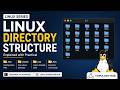 Linux Directory Structure Explained | Root Directories in Linux