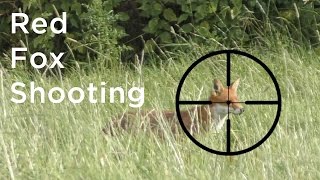 Fox Shooting Uk