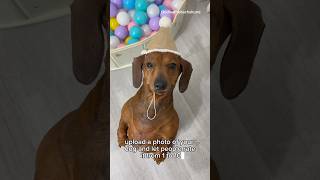 Let People Rate This Cuteness