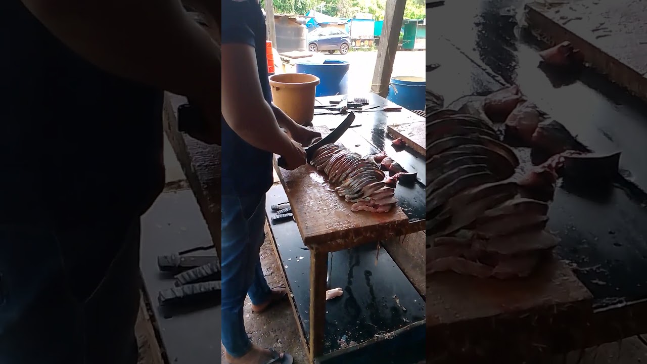 king fish🐠 fresh cutting 