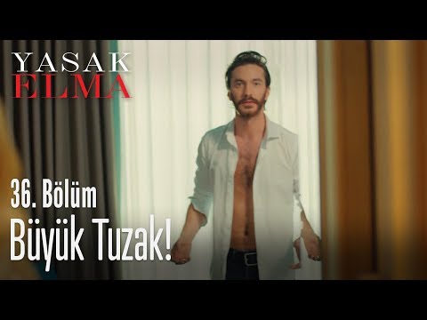 Yıldız'dan gelen darbe - Yasak Elma 36. Bölüm