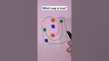 which way is true? #ternding #viralvideo #iqtest #game #challenge #shorts
