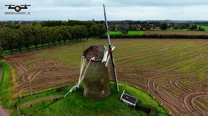 De Bronkhorst molen