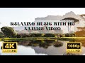 Relaxing music ii relax song with nature ii 4k