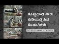 drinking water for wildlife animals| ಸ್ವಾಭಿಮಾನಿ ಗೆಳೆಯರ ಬಳಗ -ಬೀದರ್|