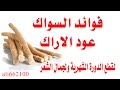 فوائد السواك عود الاراك    