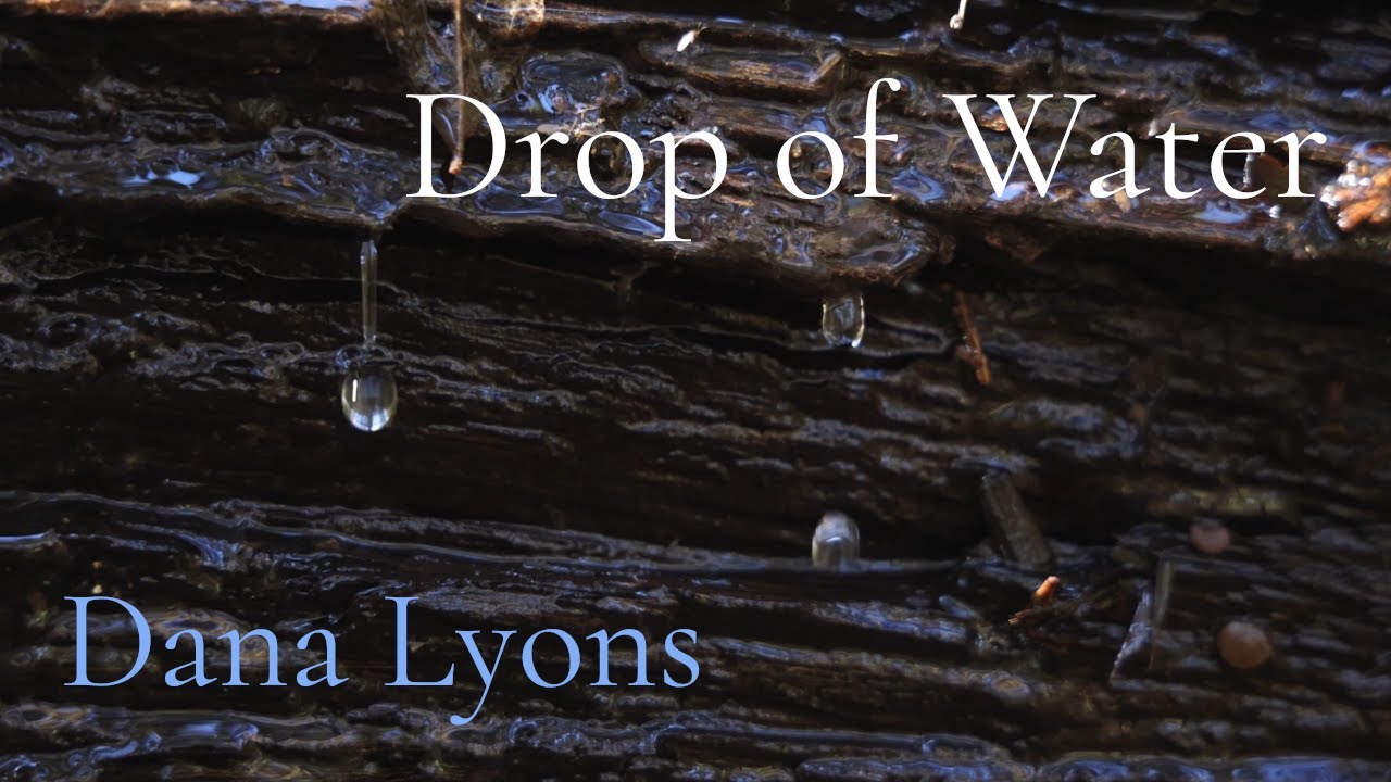 Drop of Water by Dana Lyons