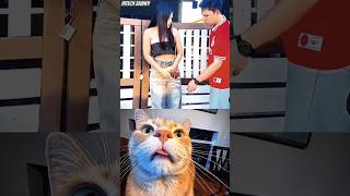 Funny Man Aura 😂 #funny #cat #dance #shorts