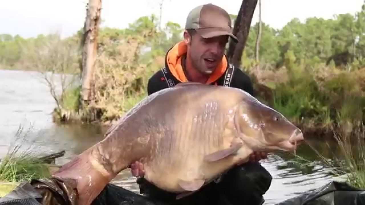 ***CARP FISHING TV*** Lee Morris' Tips for Fishing Abroad YouTube