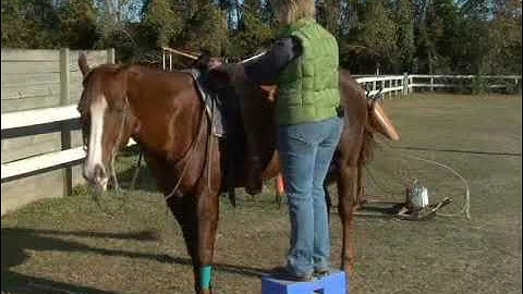 How to Mount a Horse from a Mounting Block