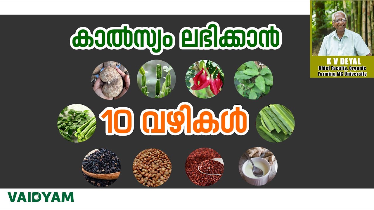 കാൽസ്യം ലഭിക്കാൻ 10 വഴികൾ|“Calcium Rich Foods for Daily Health | Natural Remedy”