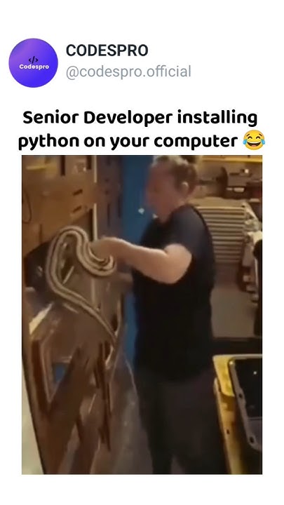 Senior Dev installing python in your computer 😂 #python #installation # ...