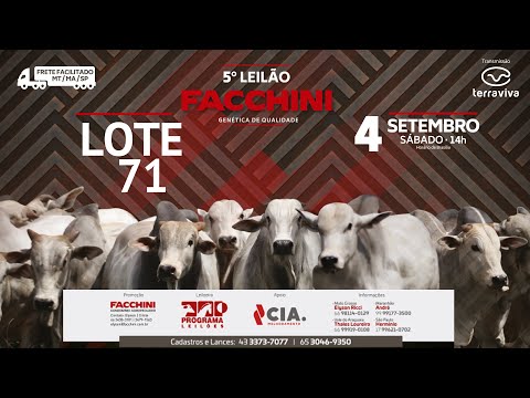 LOTE 71 - 5º LEILÃO FACCHINI 04/09/2021