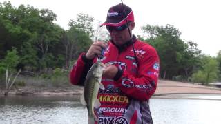 Celebrity Find Fish on Shallow Crankbaits Wealth