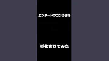 アイスドラゴンコマンド飼い方