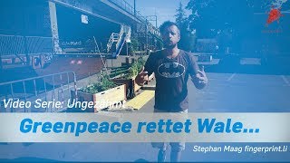 Greenpeace rettet Wale... [Salz und Licht #34]