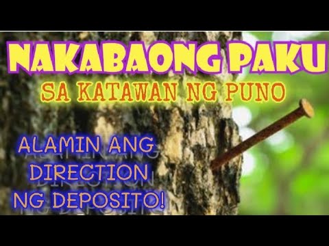 PAKUNG NAKABAON SA PUNO BILANG MARKA || ALAMIN ANG DIRECTION NG DEPOSITO