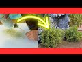 Modellbau: In nur 5 MINUTEN einen genial, einfachen Busch herstellen!😲