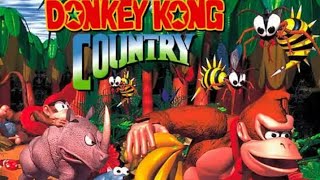 Donkey Kong Country Gameplay SNES