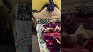 Jumping On Bed