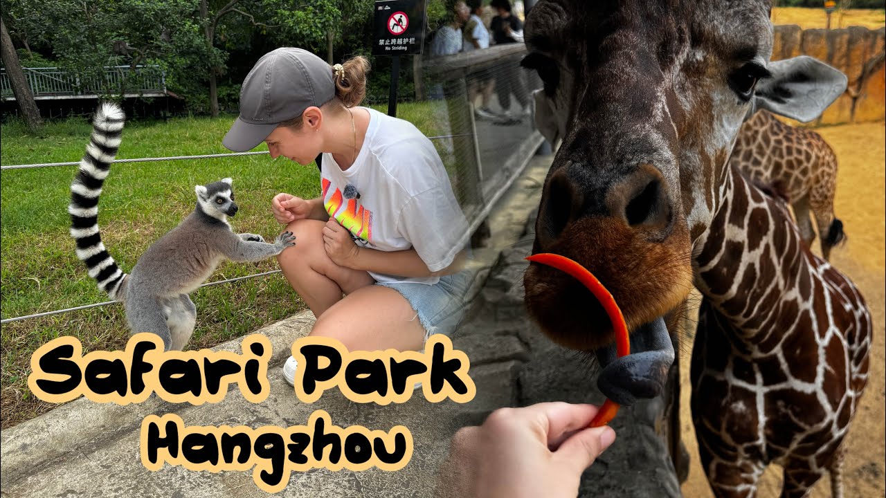 Сафари парк в Ханчжоу. Китай