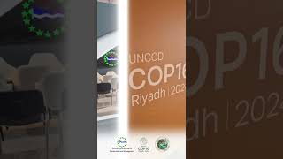 Day 3 Of Is Underway