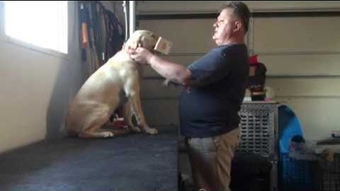 Haley force fetch day 3