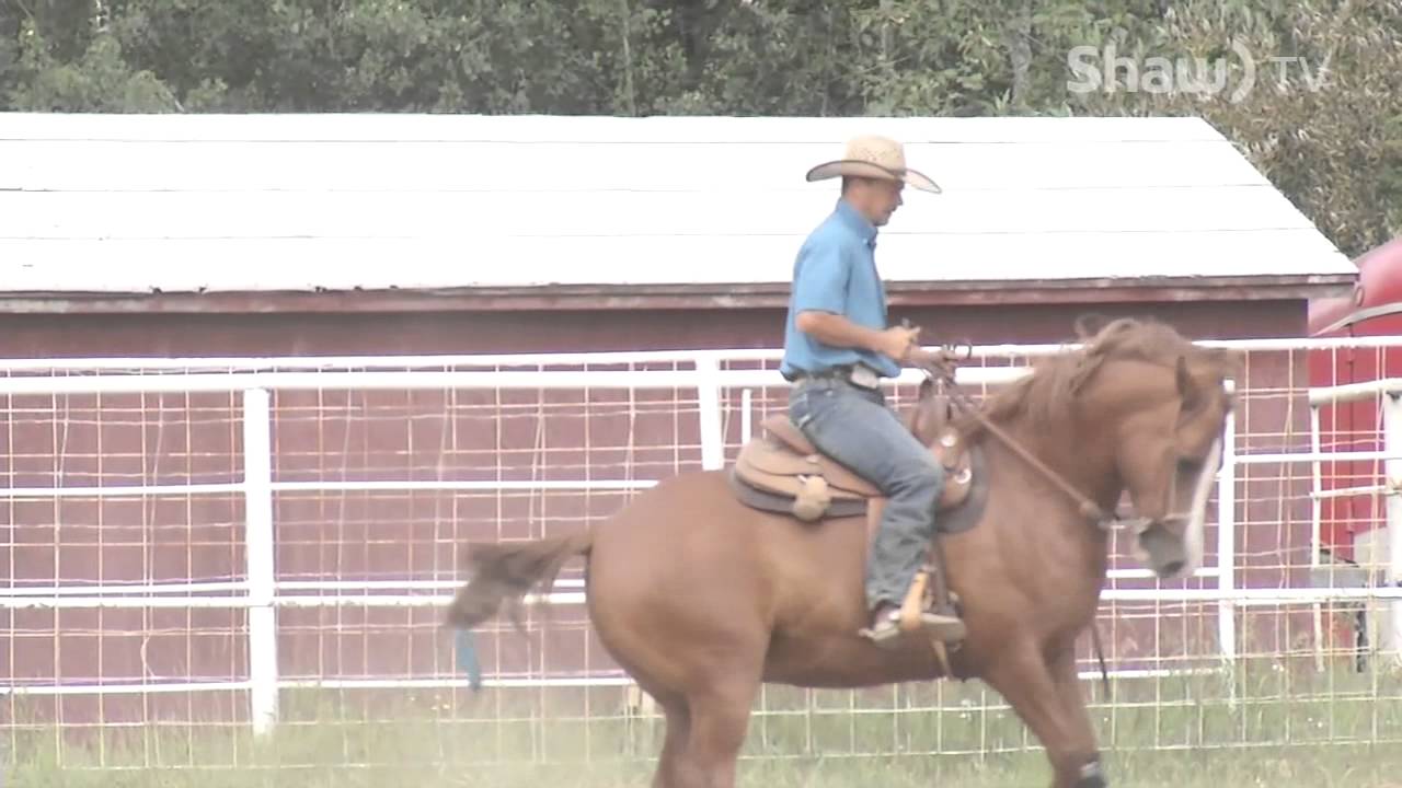 Horse Riding Training at Clearwater Horse Club YouTube