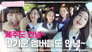 [#레벨업5] 햇살 가득한 제주도여~ 안녕✨ 오랜만에 만난 레벨이도 안녕~  #RedVelvet (SUB)