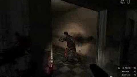 Zombie Panic source video