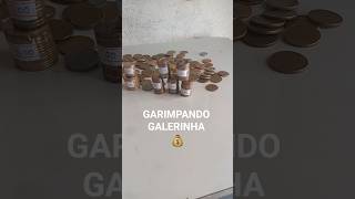 Garimpando Galerinha Chama Chamaa