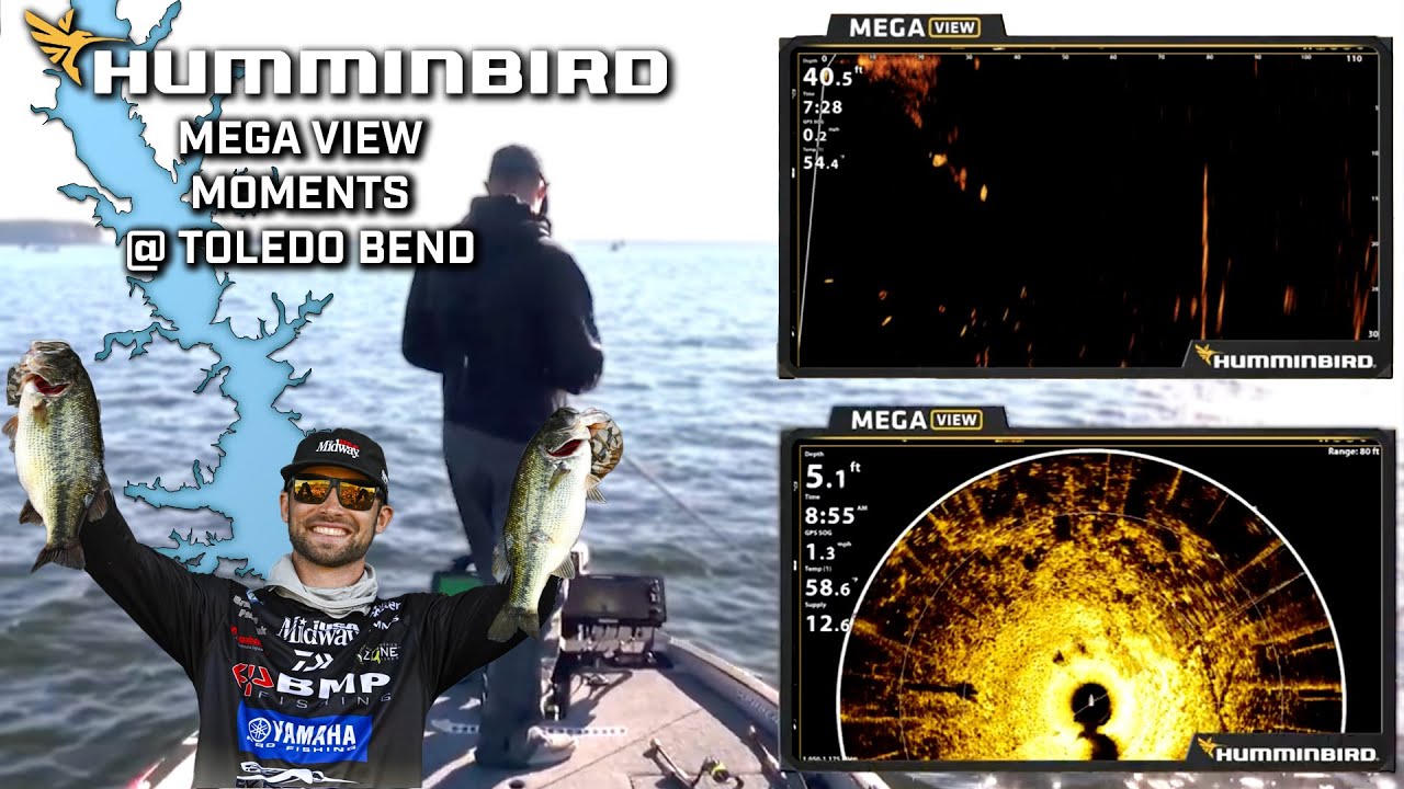 Humminbird MEGA View Moments from Toledo Bend