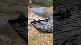 Did You Know This Black Sheet
