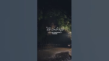 قرآن الكريم سورة يونس- القارئ عبد الرحمن مسعد(سبحان الله وبحمده سبحان الله العظيم )