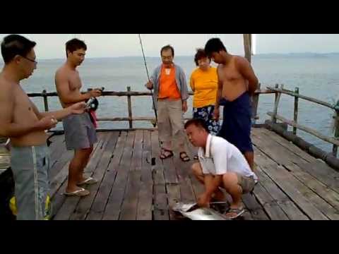 FishingSpore - YouTube