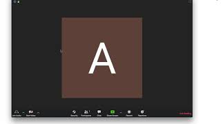 How to enable ZOOM PUSH TO TALK?